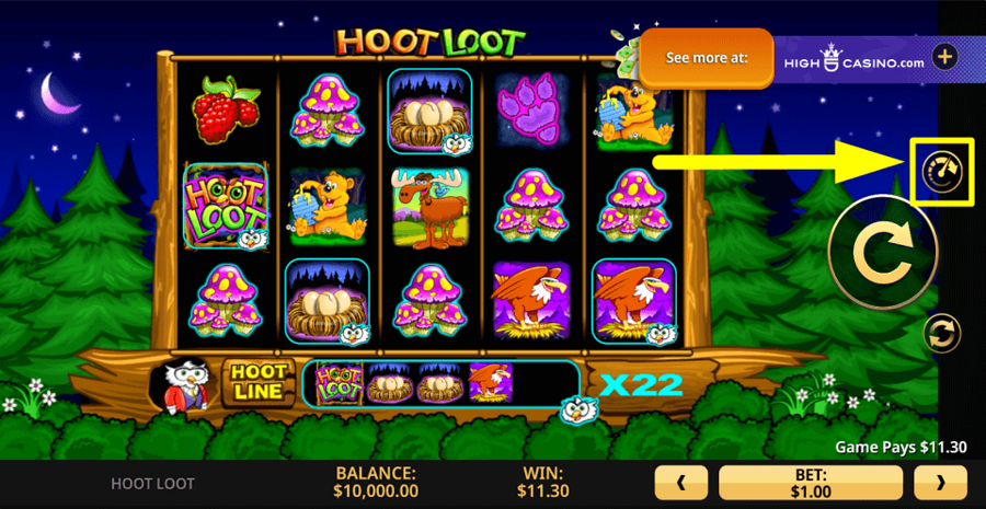 Hoot Loot Turbo Spin Feature