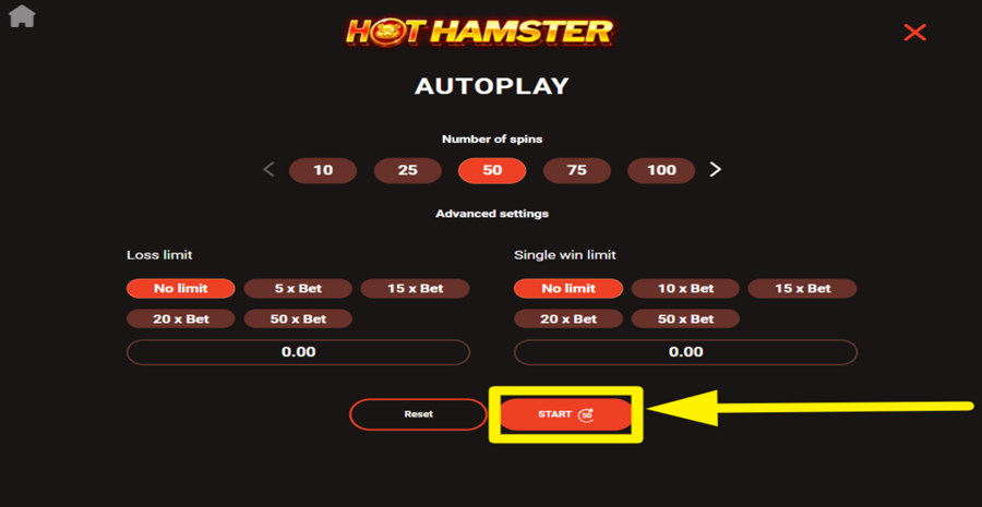 Hot Hamster Autoplay