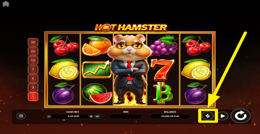 Hot Hamster Turbo