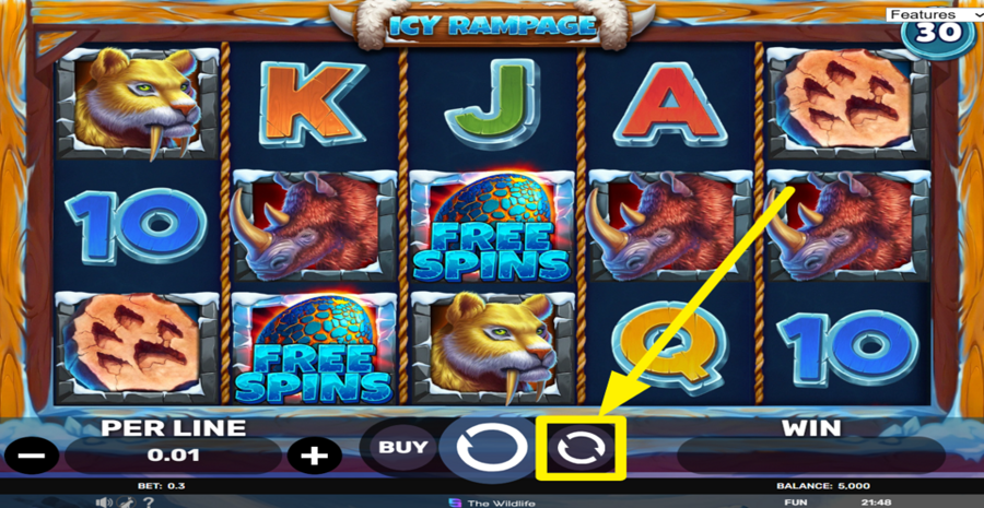 Icy Rampage Autoplay