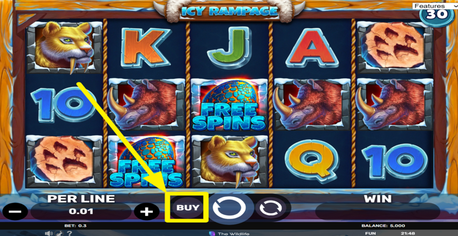 Icy Rampage Buy Bonus