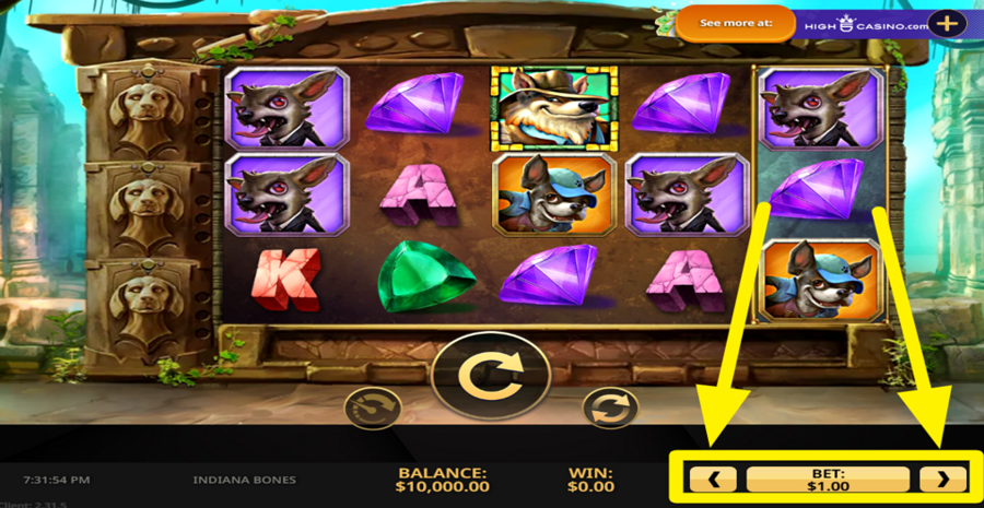 Indiana Bones Adjust Bet