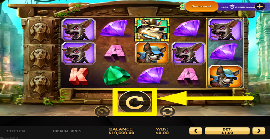Indiana Bones Spin Button