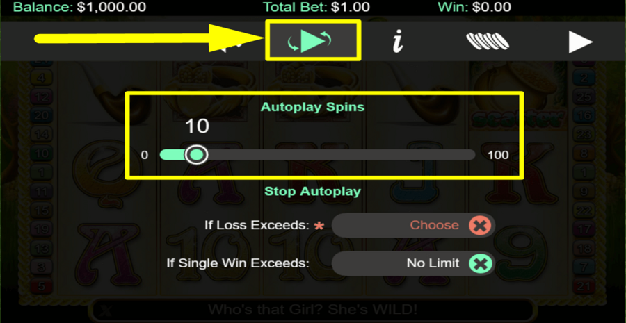 Irish Eyes 2 Autoplay Feature