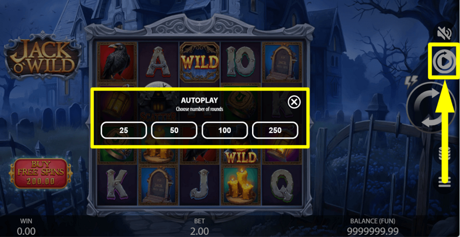 Jack O Wild Autoplay Feature