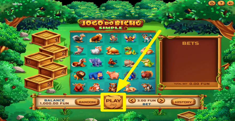 Jogo Do Bicho Simple Play