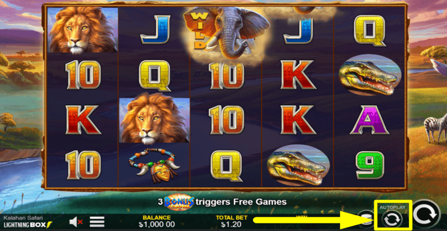 Kalahari Safari Autoplay Feature