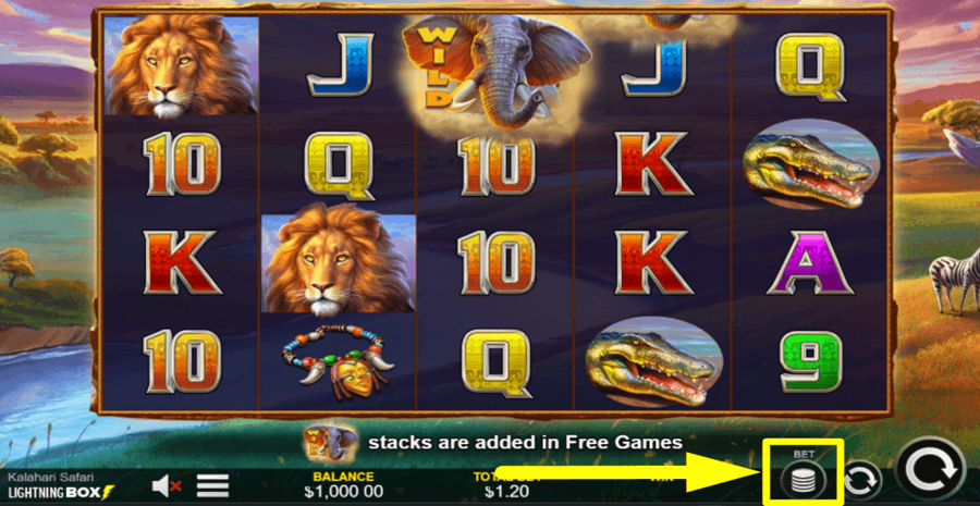 Kalahari Safari Bet Value