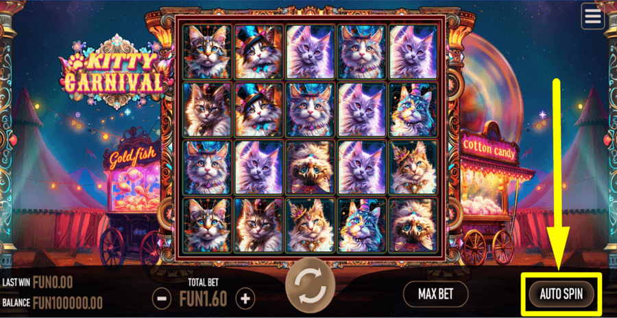 Kitty Carnival Autoplay Feature