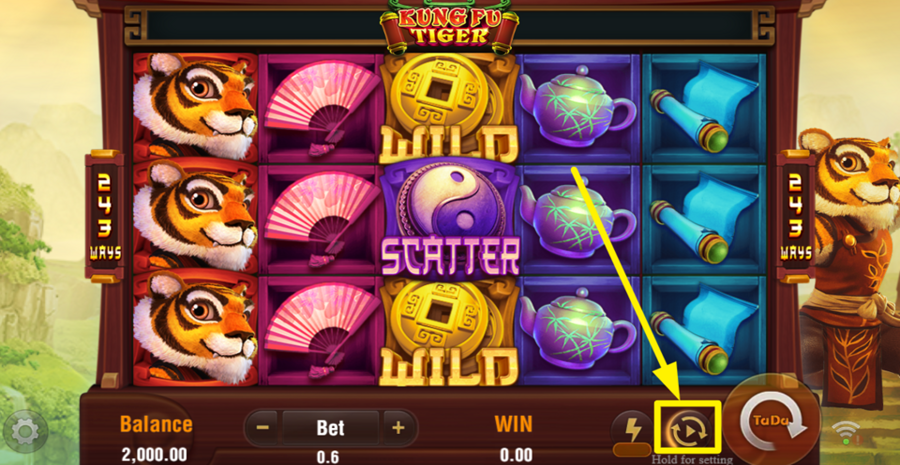 Kung Fu Tiger Autoplay