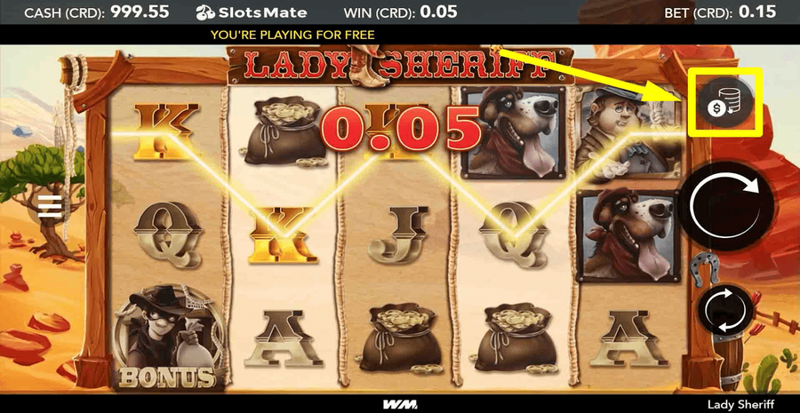 Lady Sheriff 1