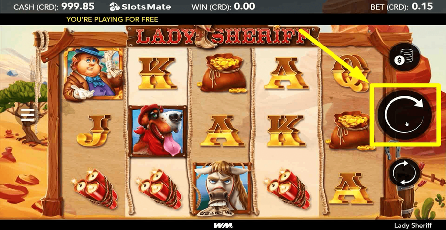 Lady Sheriff 3