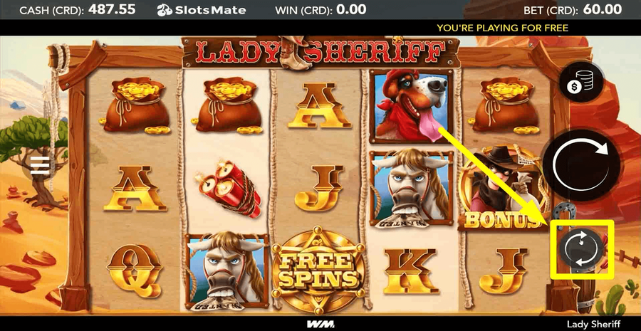 Lady Sheriff 4