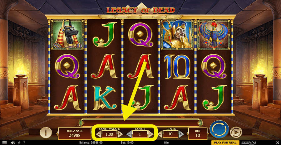 Legacy Of Dead Bet Selection