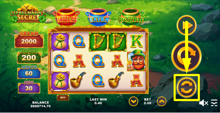 Leprechauns Secret Autoplay Feature