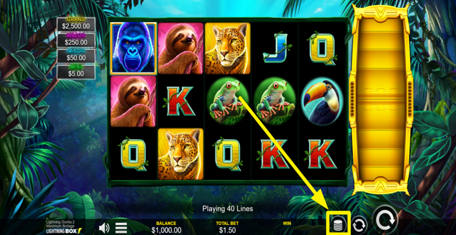 Lightning Gorilla 2 Choose Bet
