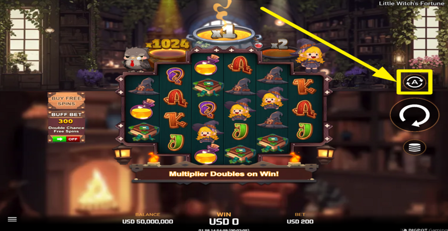Little Witch Fortune Autoplay