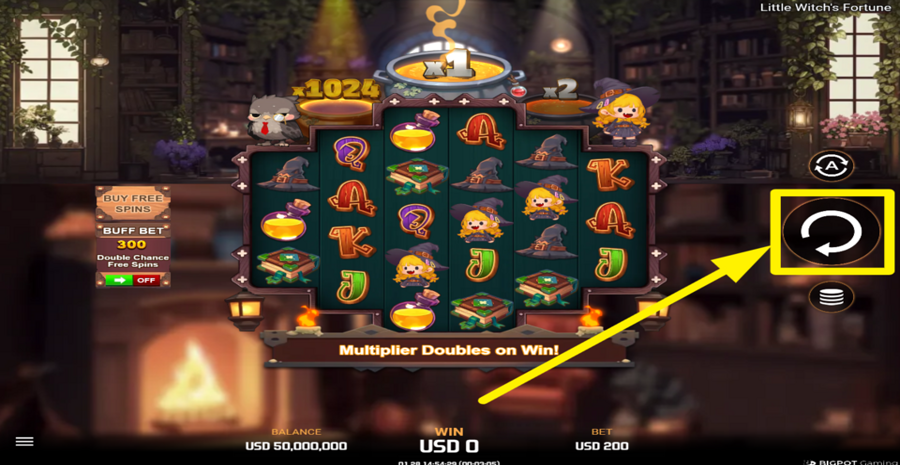 Little Witch Fortune Spin