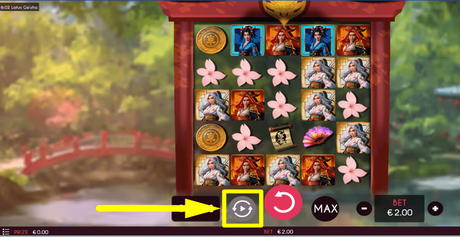 Lotus Geisha Autoplay Feature