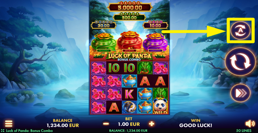 Luck Of Panda Bonus Combo Autoplay