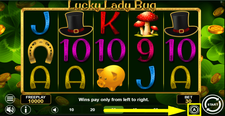 Lucky Lady Bug Autoplay Feature