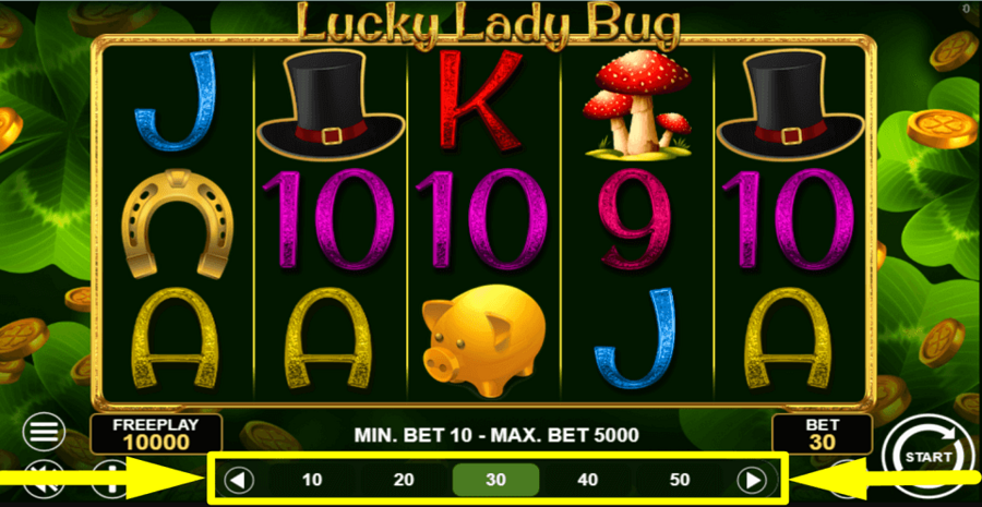 Lucky Lady Bug Bet Value