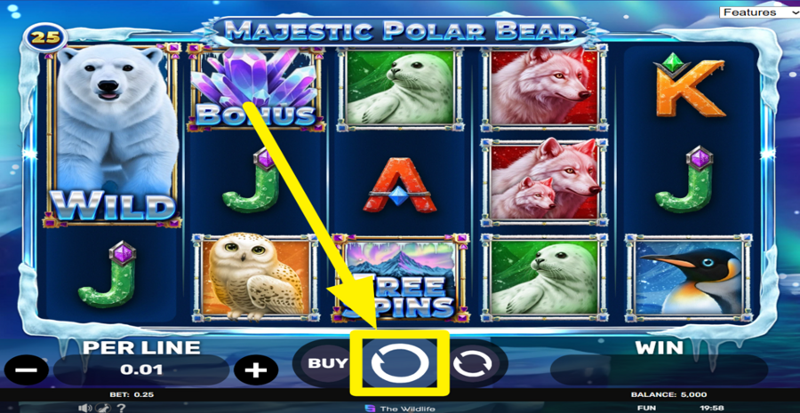 Majestic Polar Bear Spin