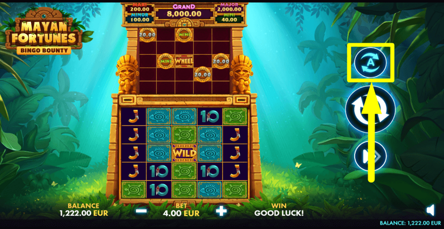 Mayan Fortunes Bingo Bounty Autoplay Feature