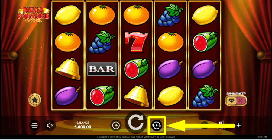 Mega Fortune Hold N Win Autoplay Feature