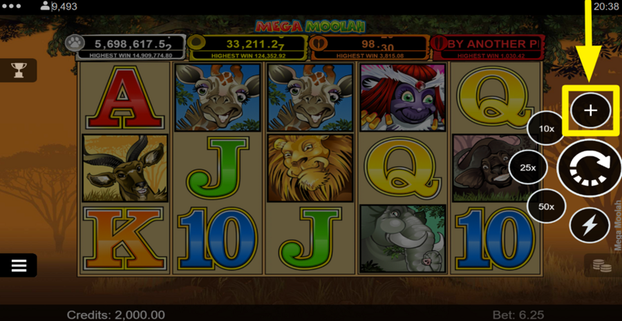 Mega Moolah Autoplay Feature