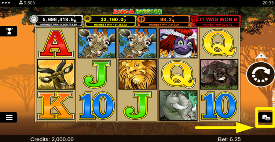 Mega Moolah Bet Adjust