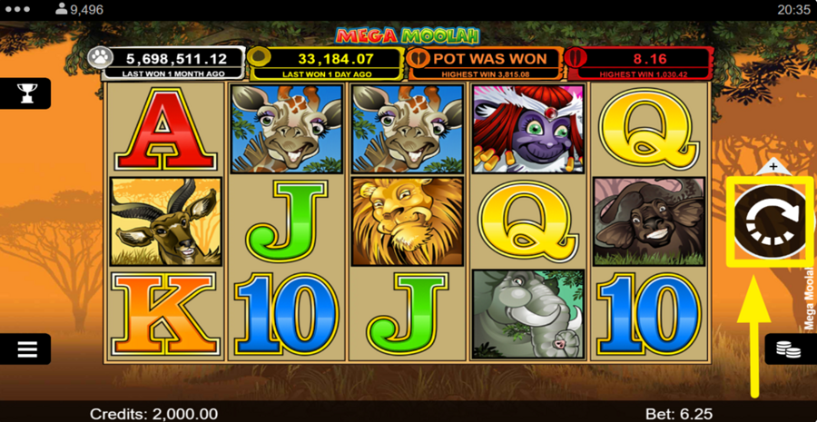 Mega Moolah Spin Button