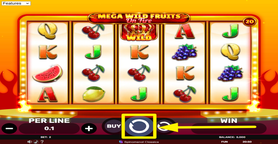 Mega Wild Fruits On Fire Spin Button