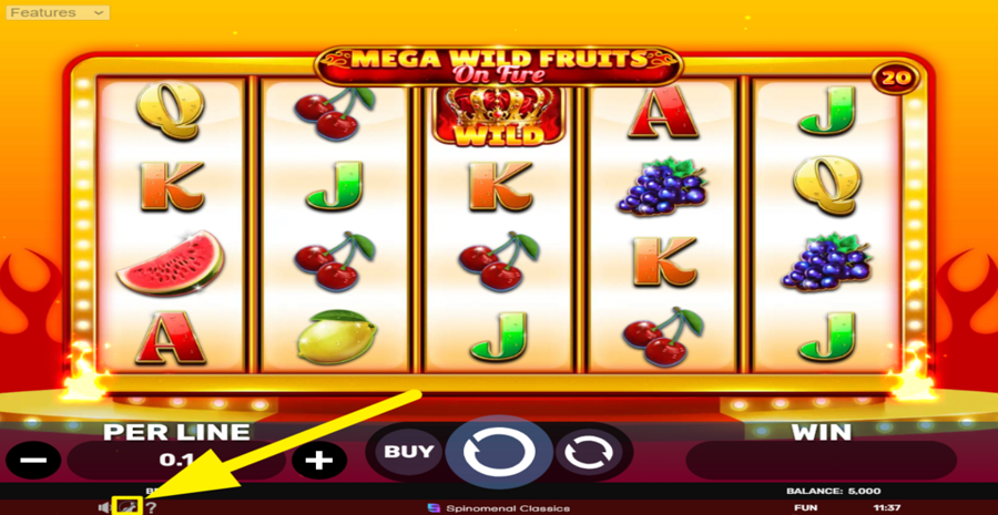 Mega Wild Fruits On Fire Turbo