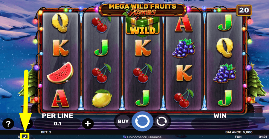 Mega Wild Fruits Xmas Turbo Feature