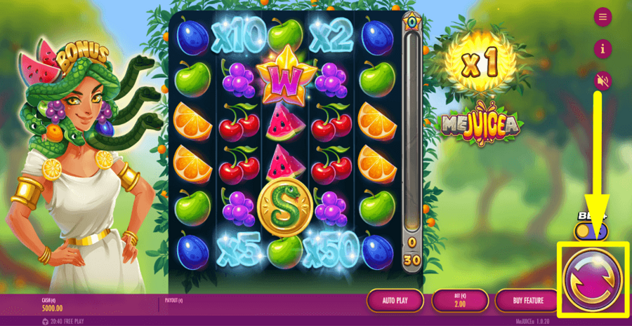 Mejuicea Spin Button