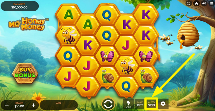 Mo Honey Mo Money Autoplay