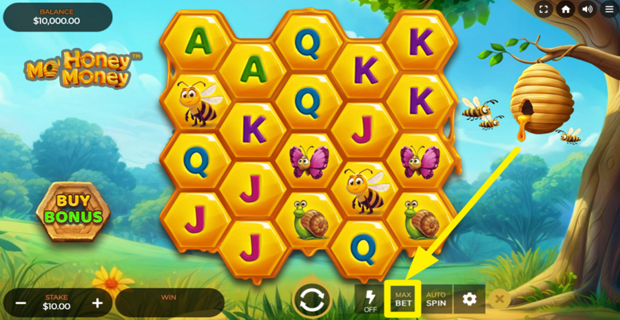 Mo Honey Mo Money Max Bet