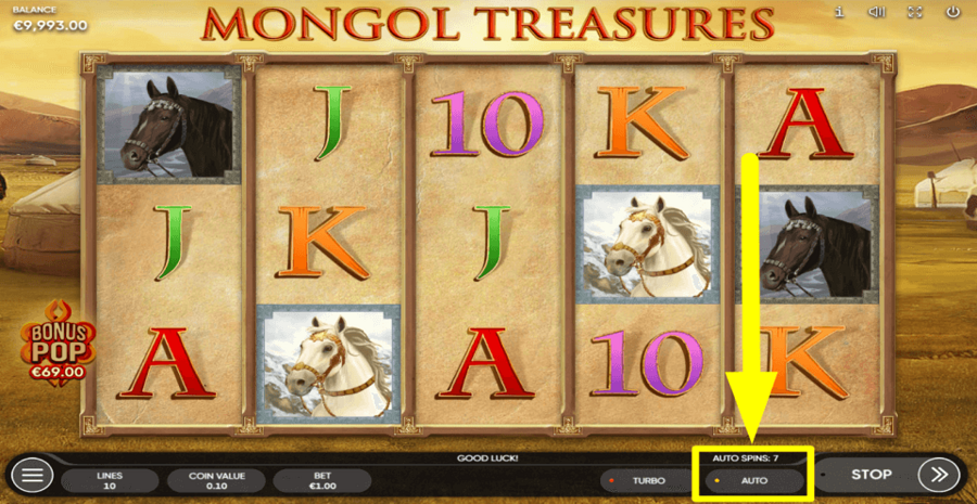 Mongol Treasures Autoplay Feature