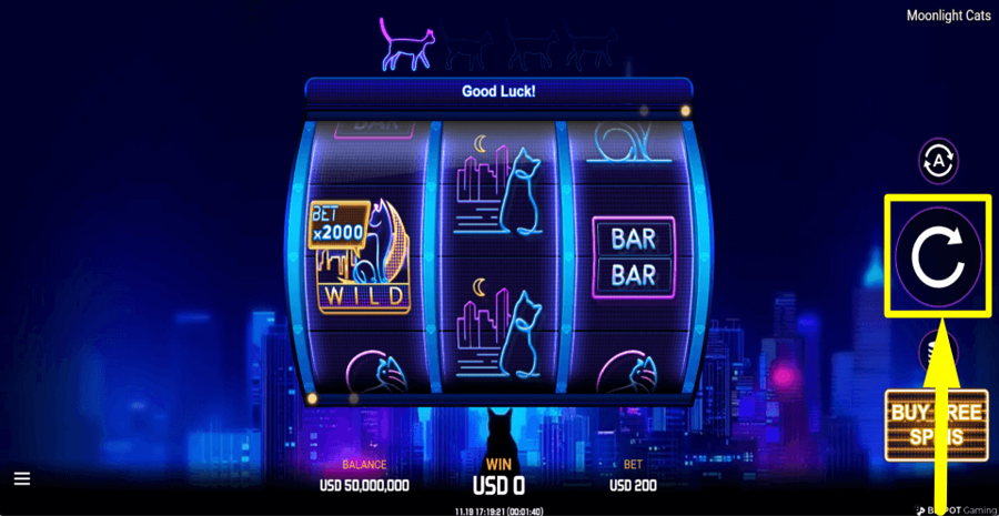 Moonlight Cats Spin Button