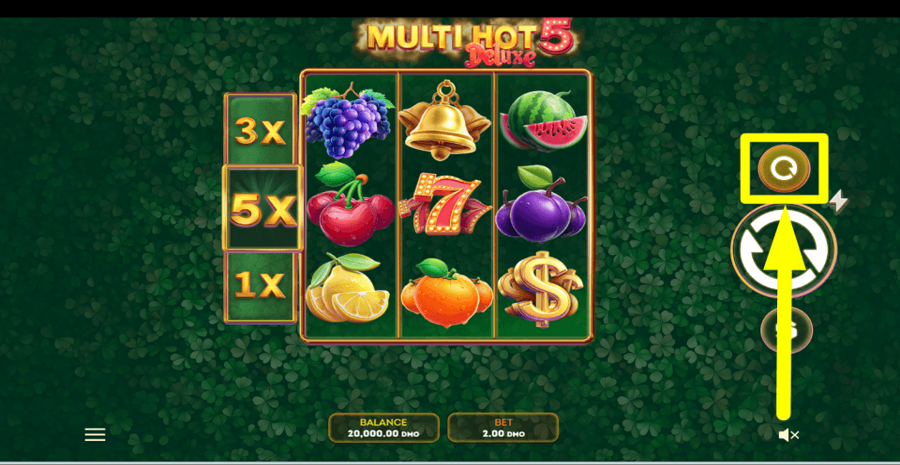 Multi Hot 5 Deluxe Autoplay Feature
