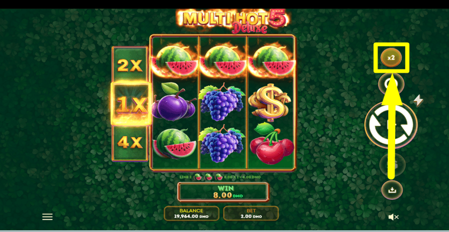 Multi Hot 5 Deluxe Gamble Feature
