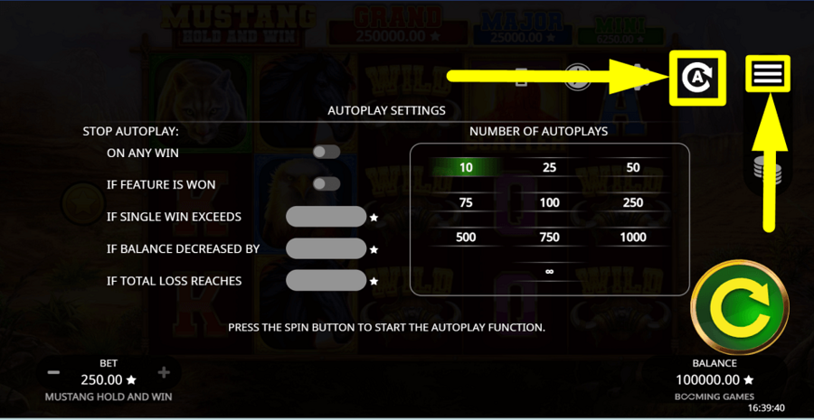 Mustang Hold And Win Autoplay Feature