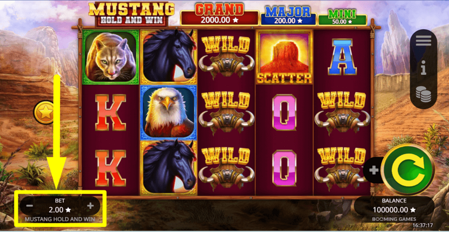 Mustang Hold And Win Bet Value