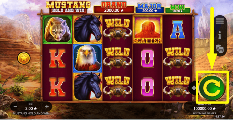 Mustang Hold And Win Spin Button