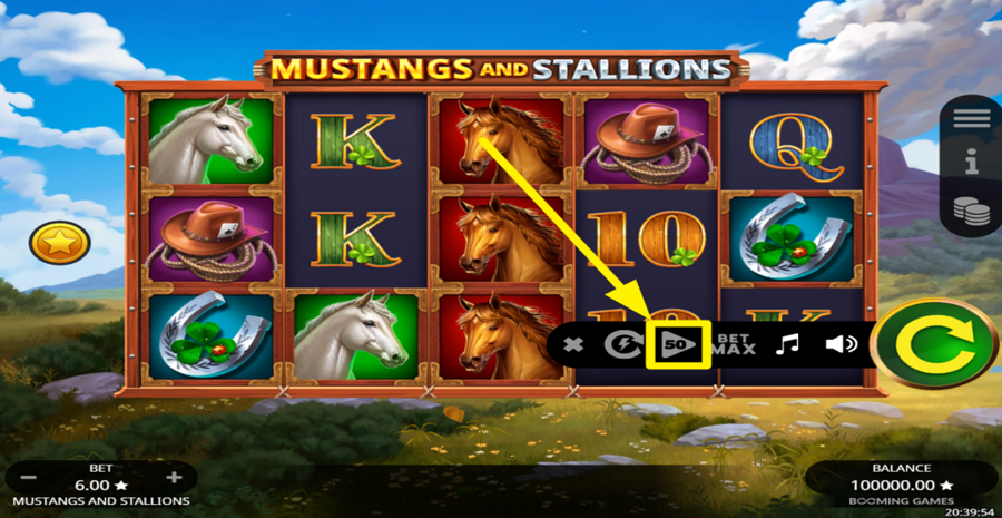 Mustangs And Stallions Autoplay