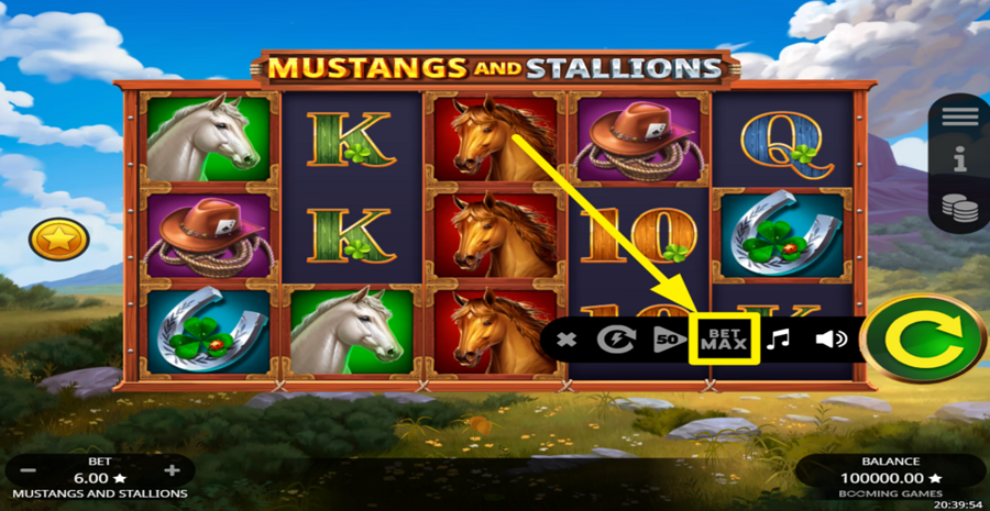 Mustangs And Stallions Max Bet