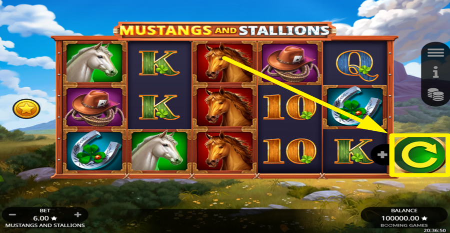 Mustangs And Stallions Spin