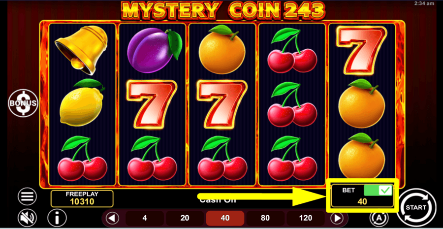 Mystery Coin 243 Ante Bet Feature