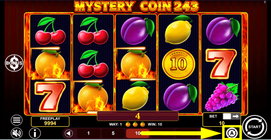 Mystery Coin 243 Autoplay Feature